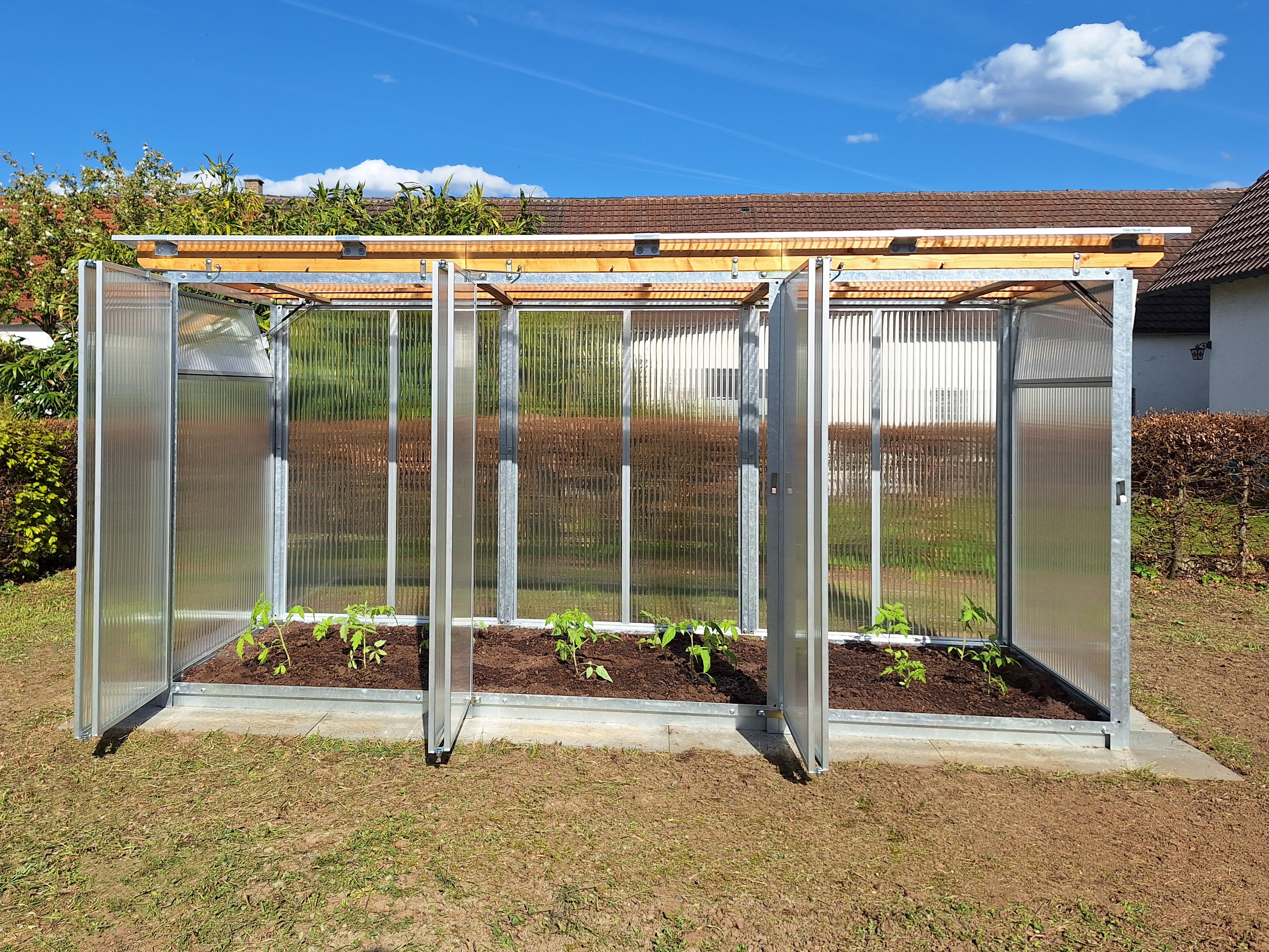 Gewächshaus mit automatischen Lüftern aus Doppelstegplatten mit angebauten Tomaten