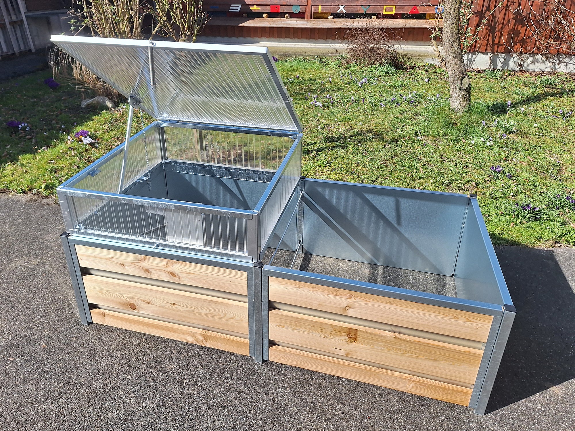 Frühbeet mit automatischem Lüfter aufgestellt in einem Hochbeet aus Holz