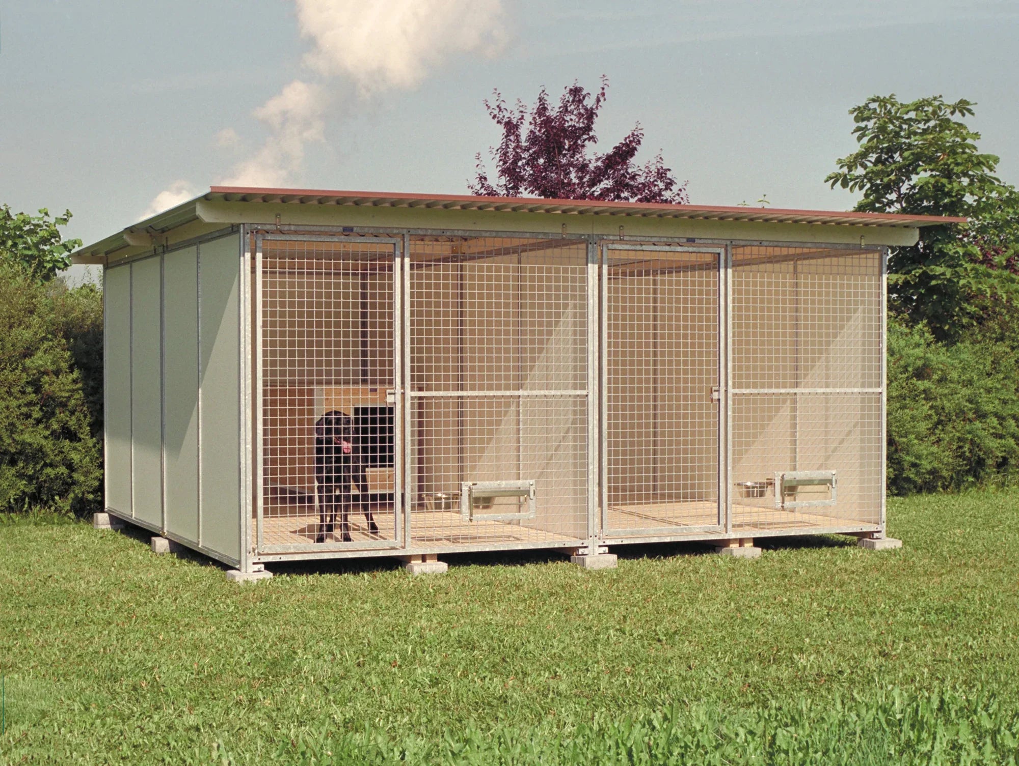 Hundezwingeranlage mit Hundehütten und einer Unterteilung, schwarzer Hund im inneren