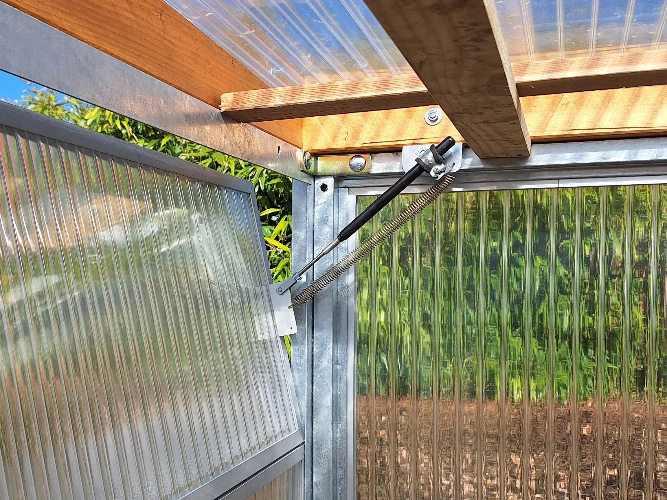 Innenraum Gewächshaus mit geöffnetem Lüfter