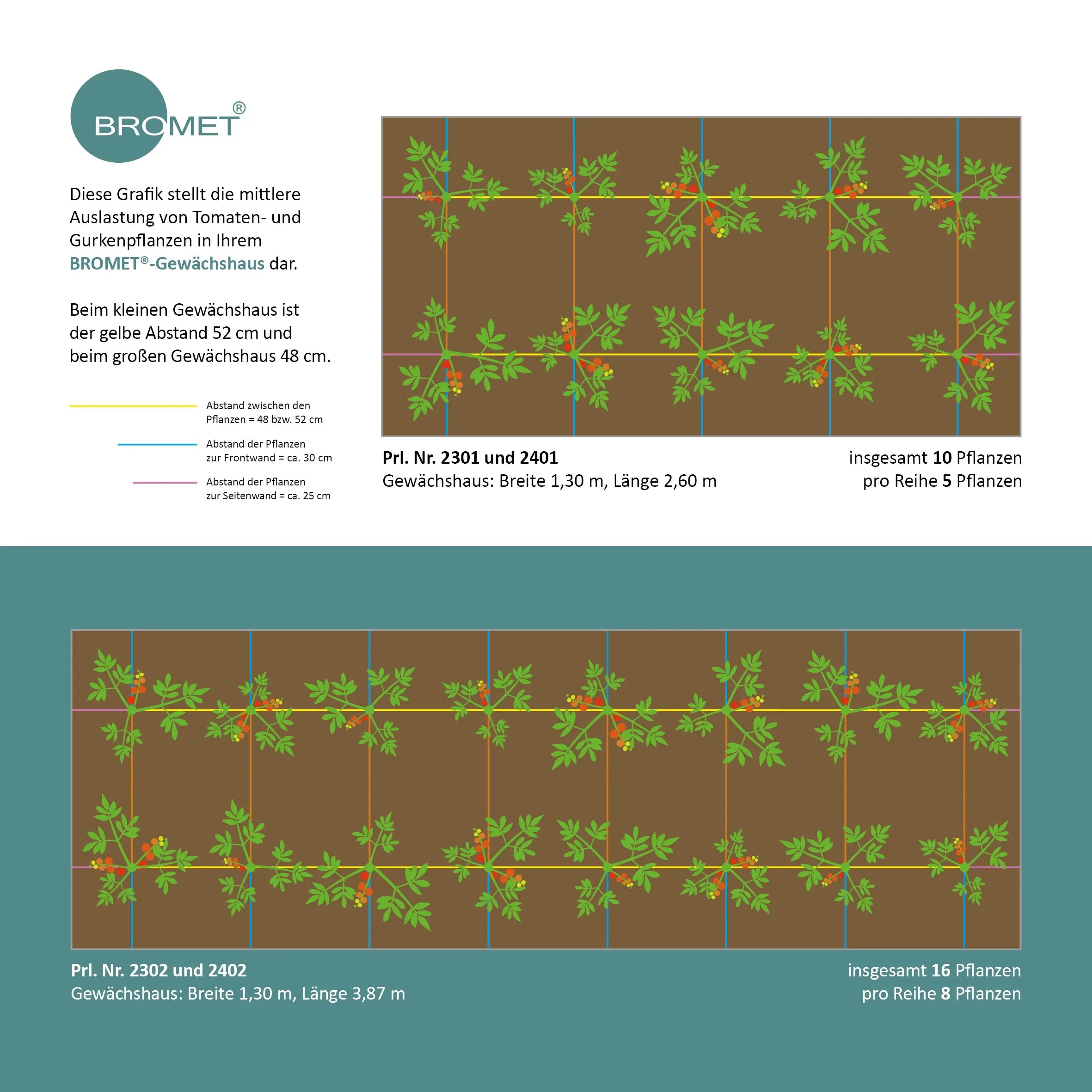 Bepflanzungsplan für ein Gewächshaus
