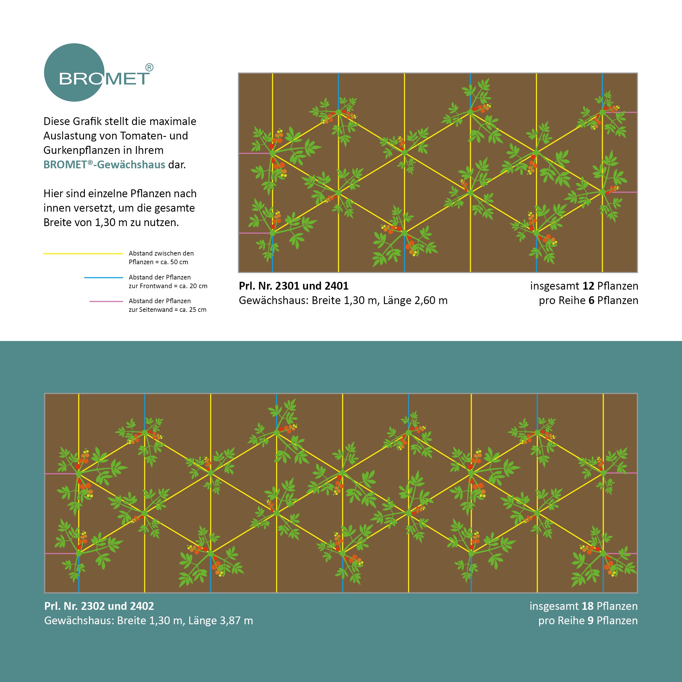 Bepflanzungsplan für ein Gewächshaus
