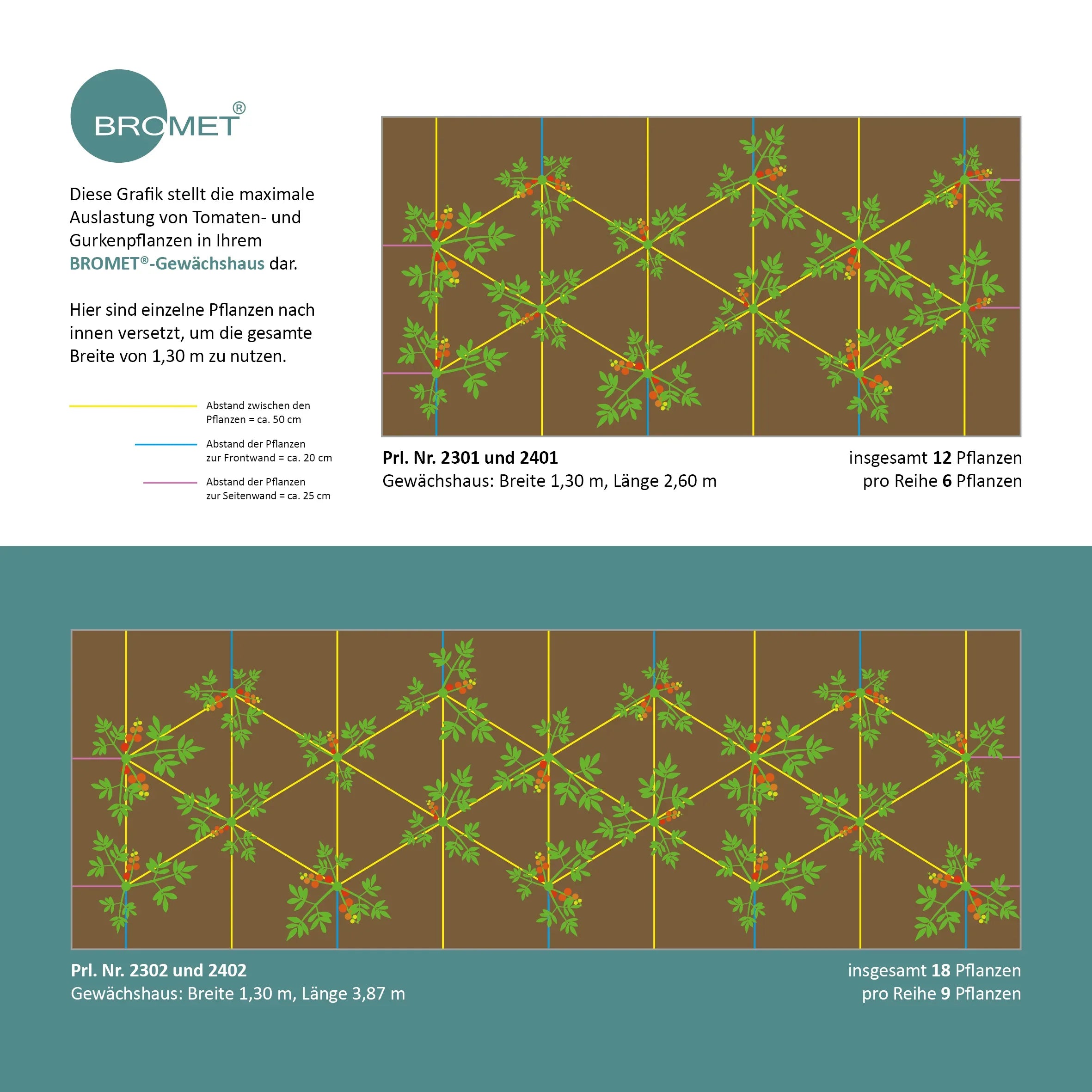 Bepflanzungsplan für ein Gewächshaus