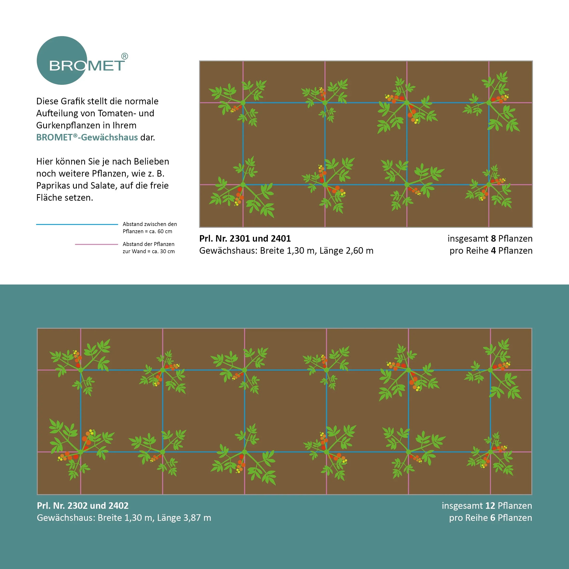 Bepflanzungsplan für ein Gewächshaus