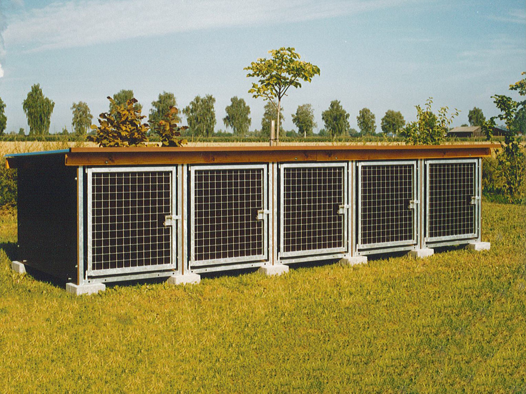 Vereinshundeboxen für Vereine und Trainingsplätze