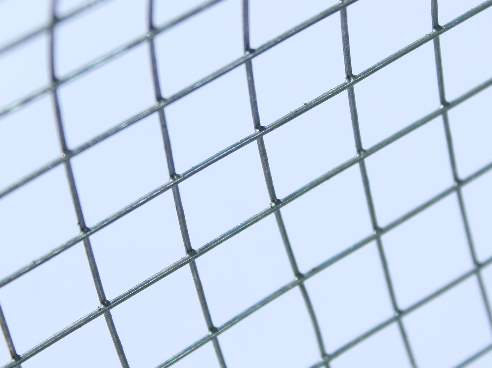Maus-Schutz-Gitter