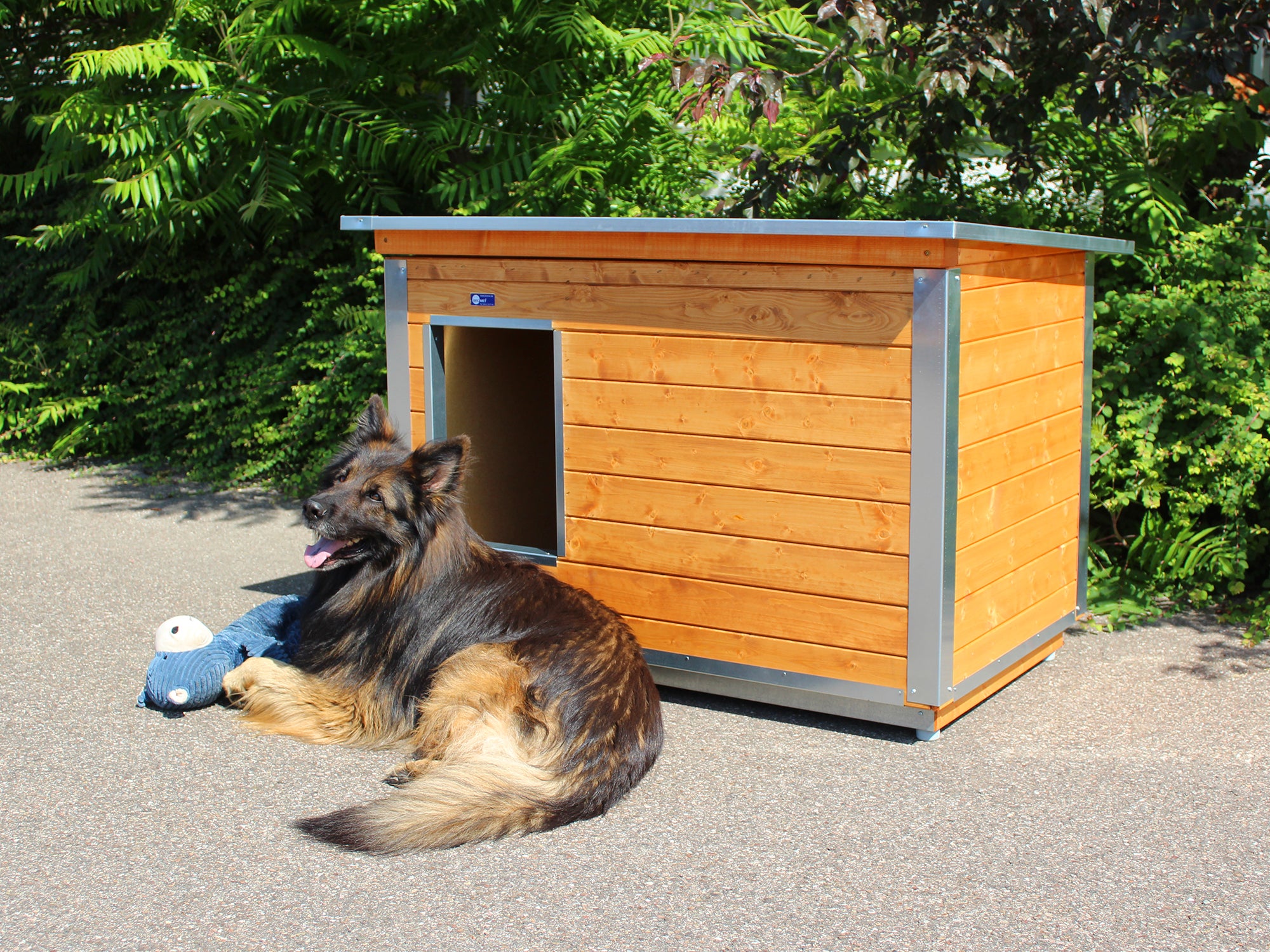 Hundehütte aus Holz mit liegendem Hund im Vordergrund