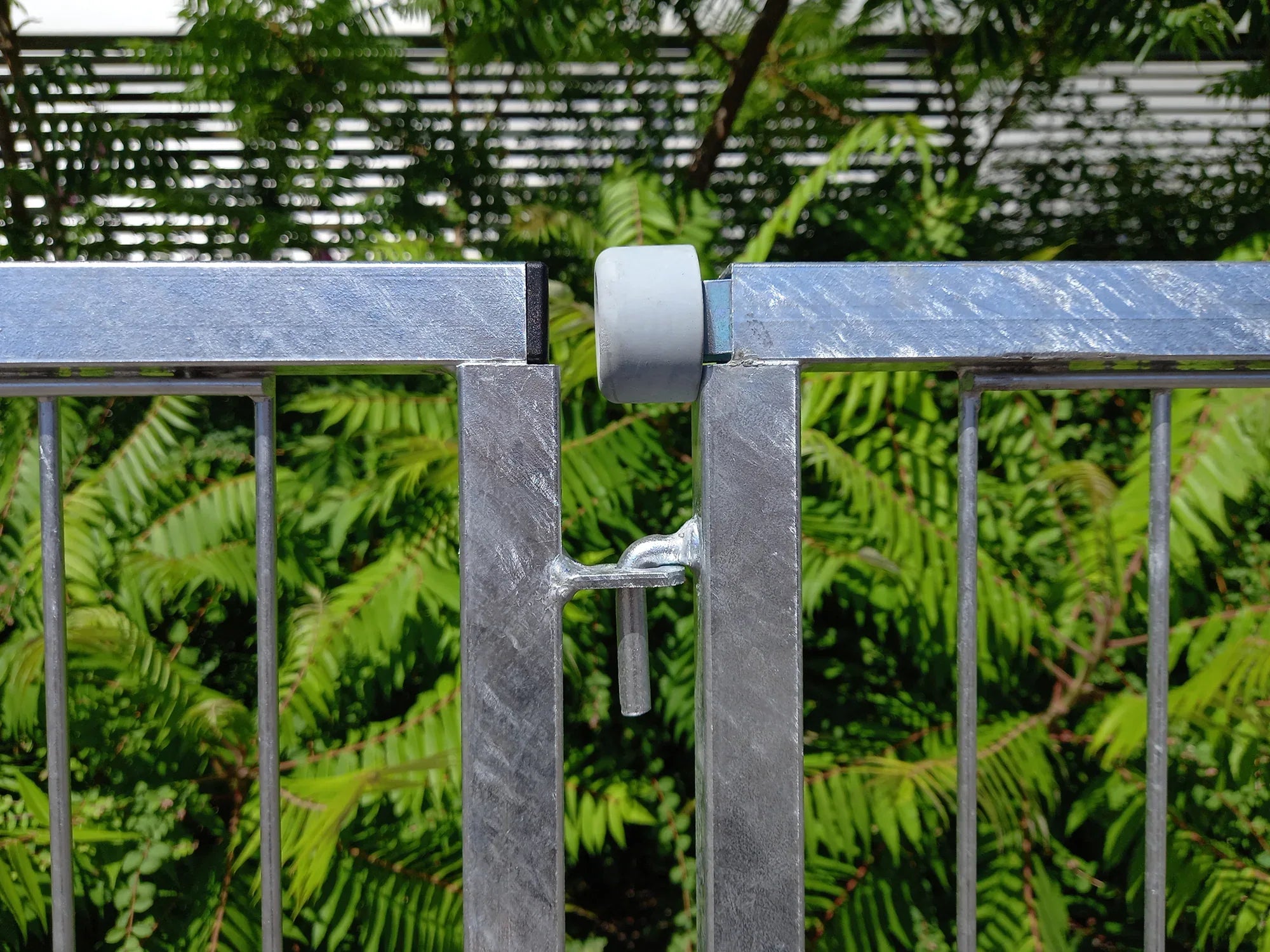 Welpenelemente mit eingebautem Schutz für Hundepfoten