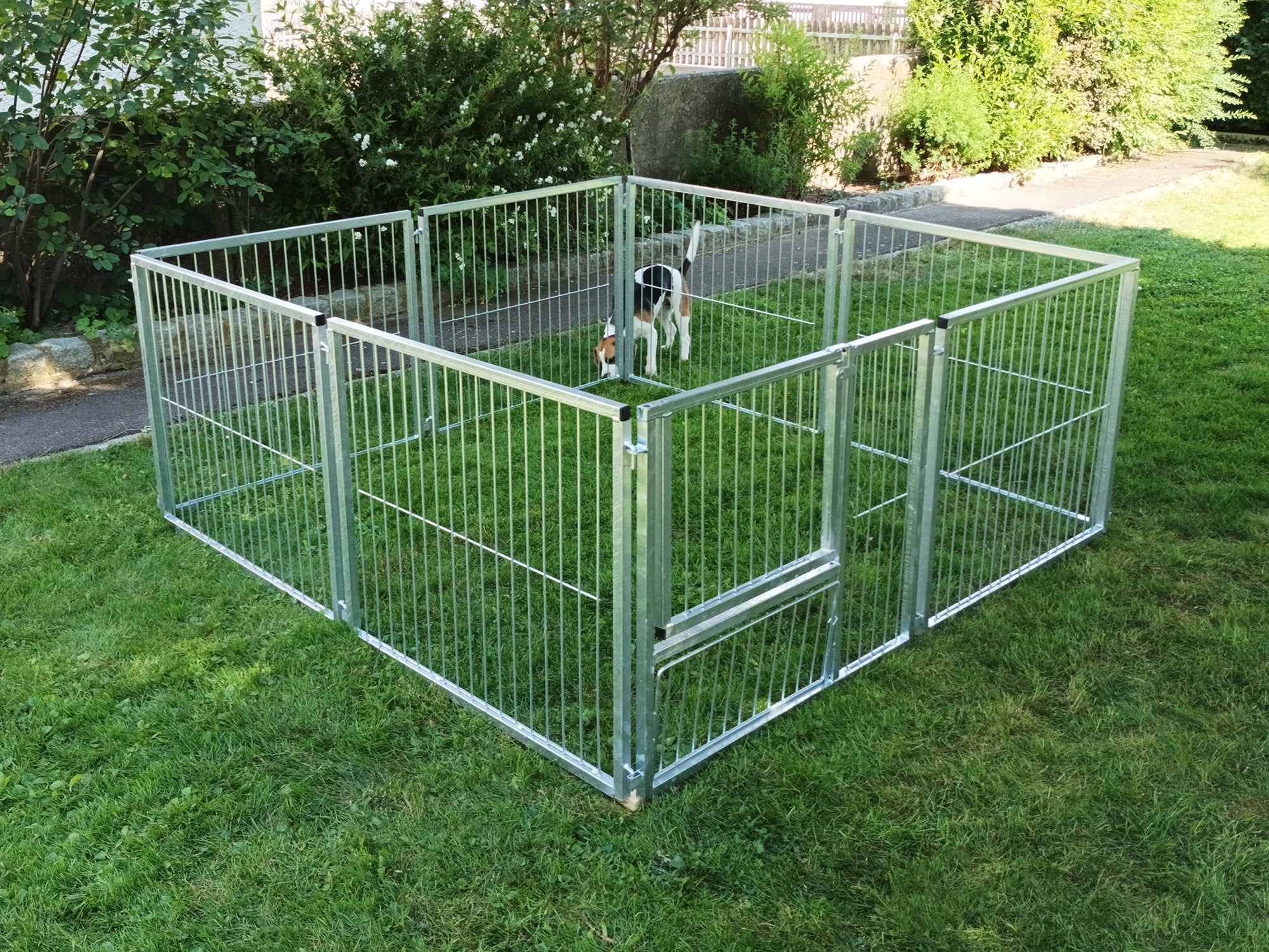 Welpen-Auslauf aufgebaut als Quadrat mit 82 cm hohen Elementen