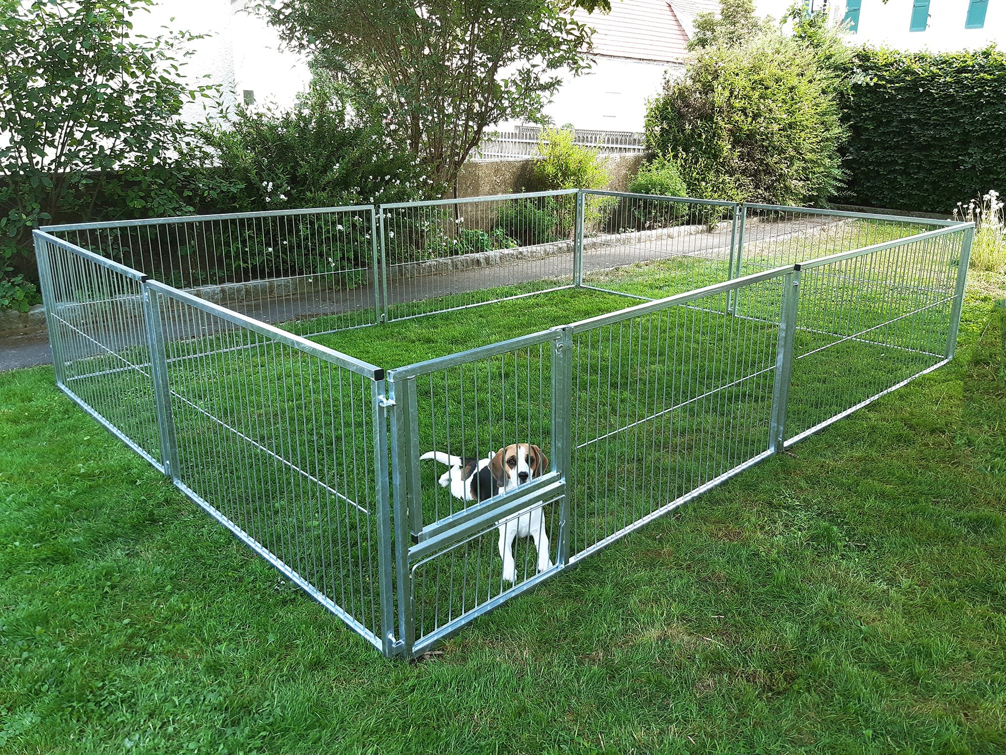 Welpenauslauf mit 16 m² robust und langlebig für den Außenbereich