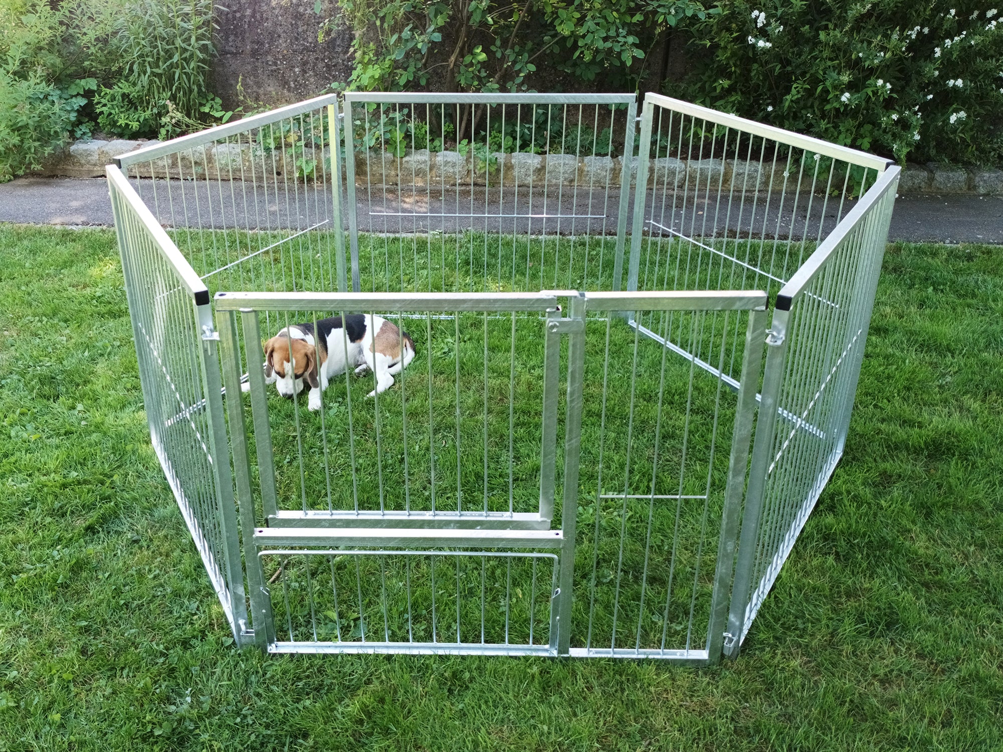 Welpenauslauf mit Hund aus 1 m langen Elementen aufgebaut im 5-Eck