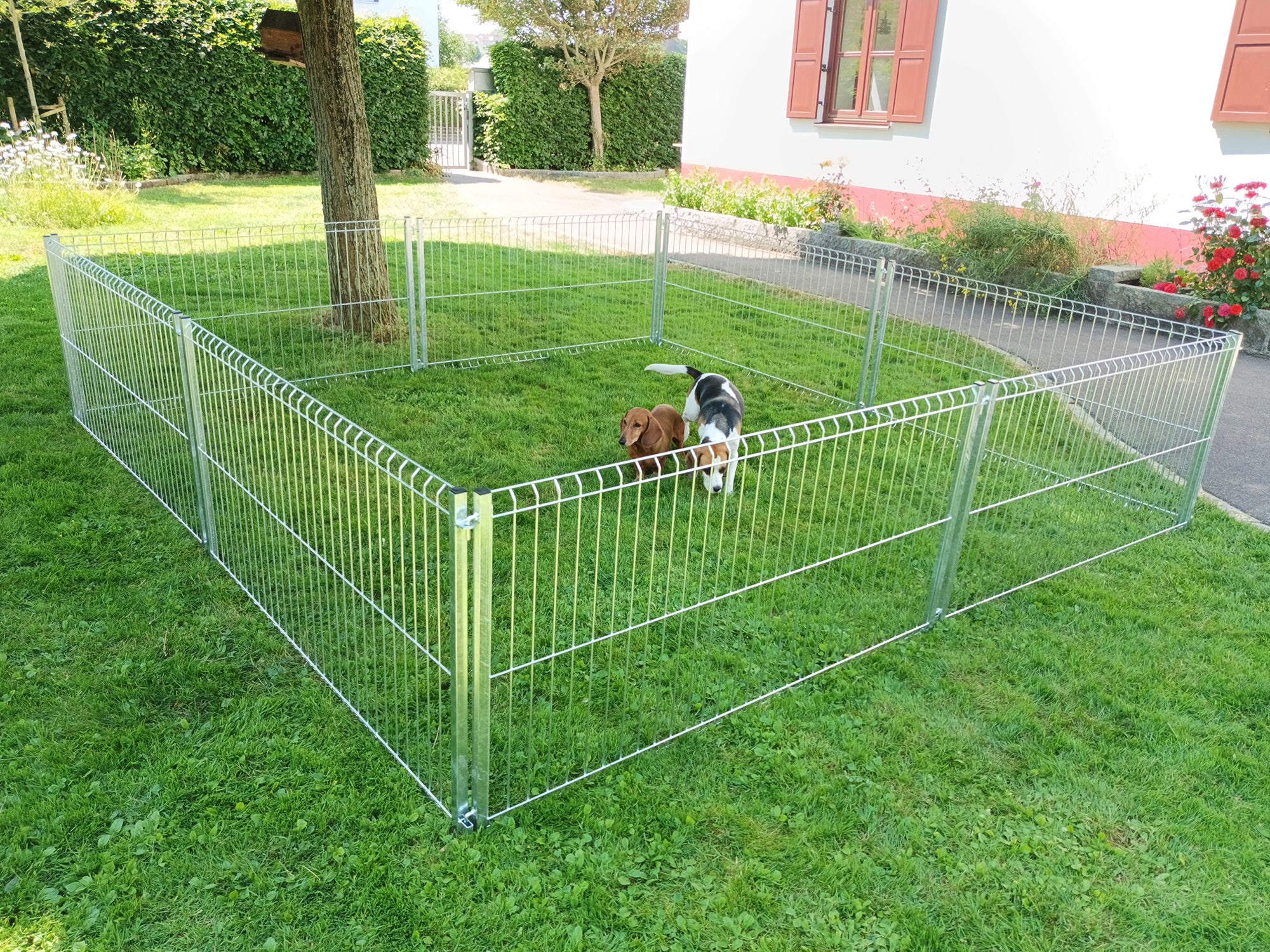 Welpen-Ausläufe Easy