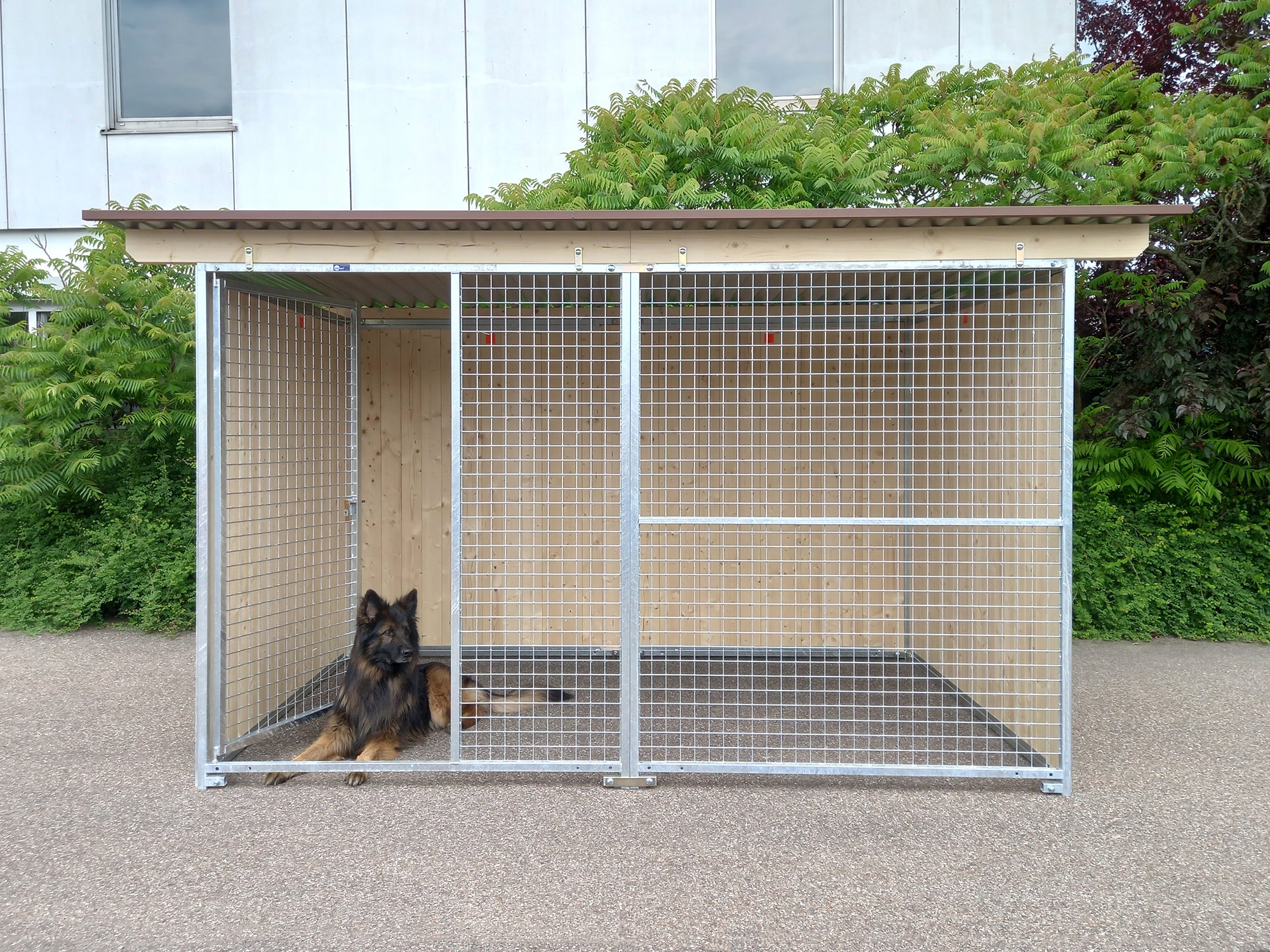 Zwinger in der Standard-Ausführung ohne Holzboden