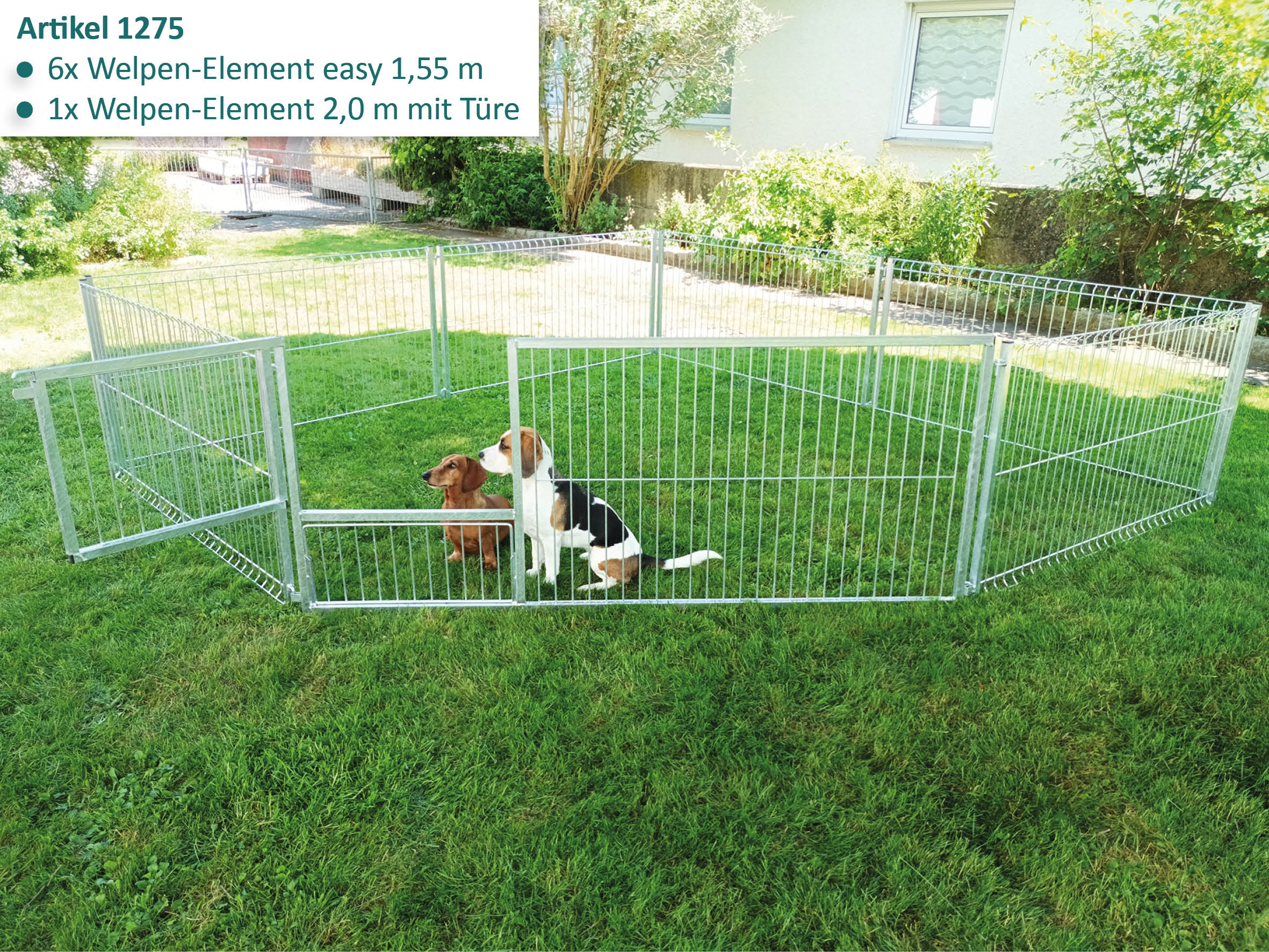 Welpenlaufstahl mit geöffneter Türe, aufgebaut im Garten mit Hunden