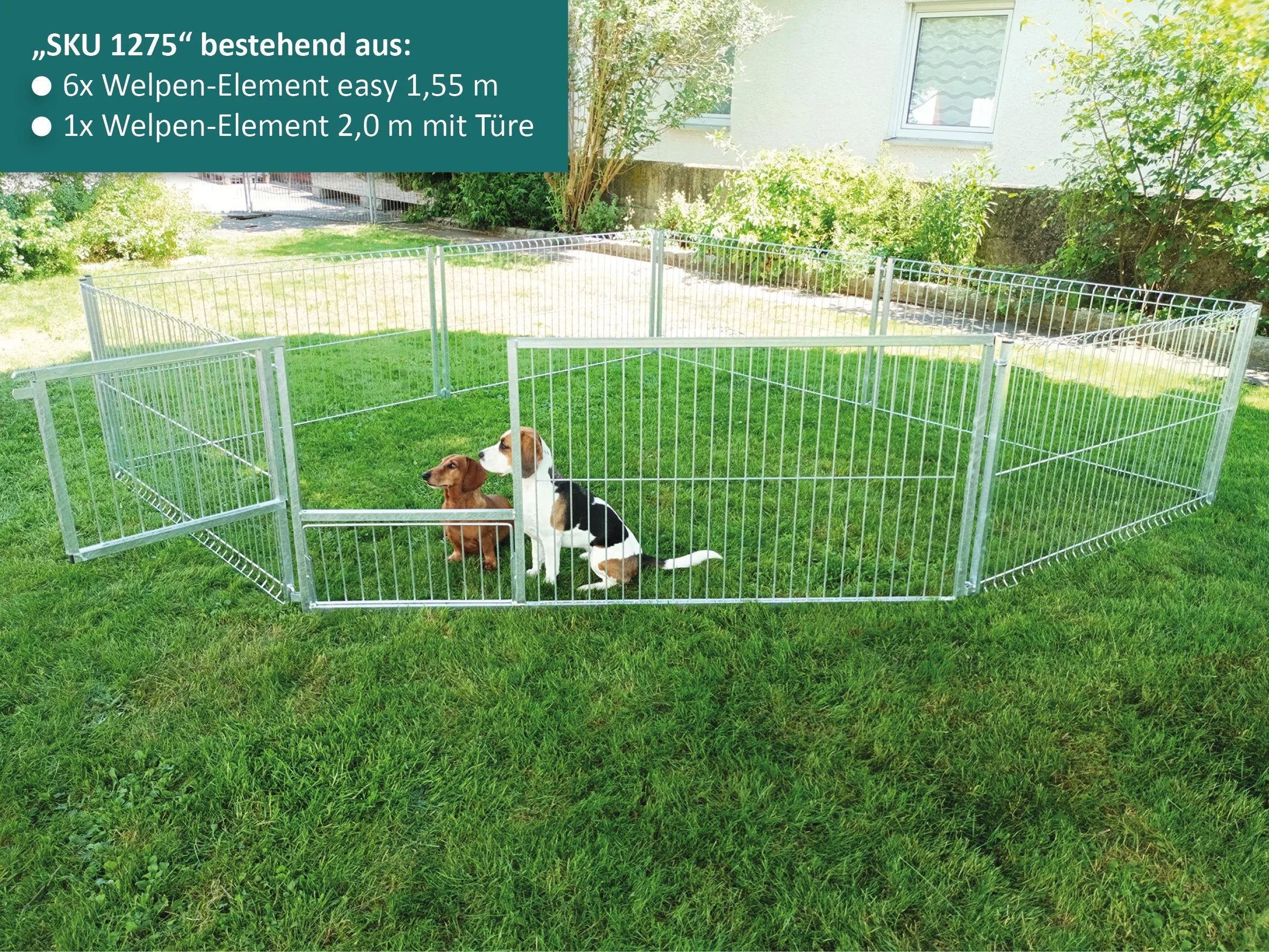 Welpenlaufstahl mit geöffneter Türe, aufgebaut im Garten mit Hunden
