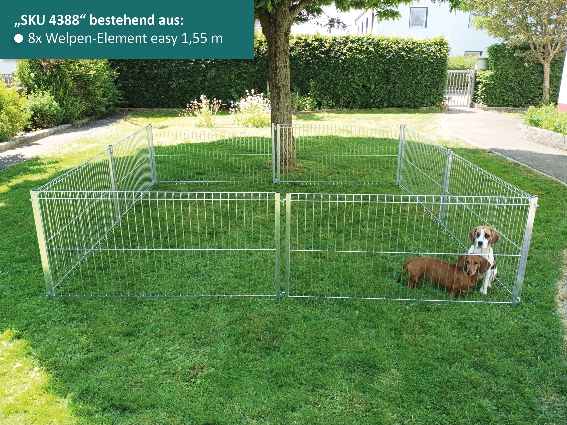 Großer Welpen-Laufstall mit zwei Hunden für den Außenbereich