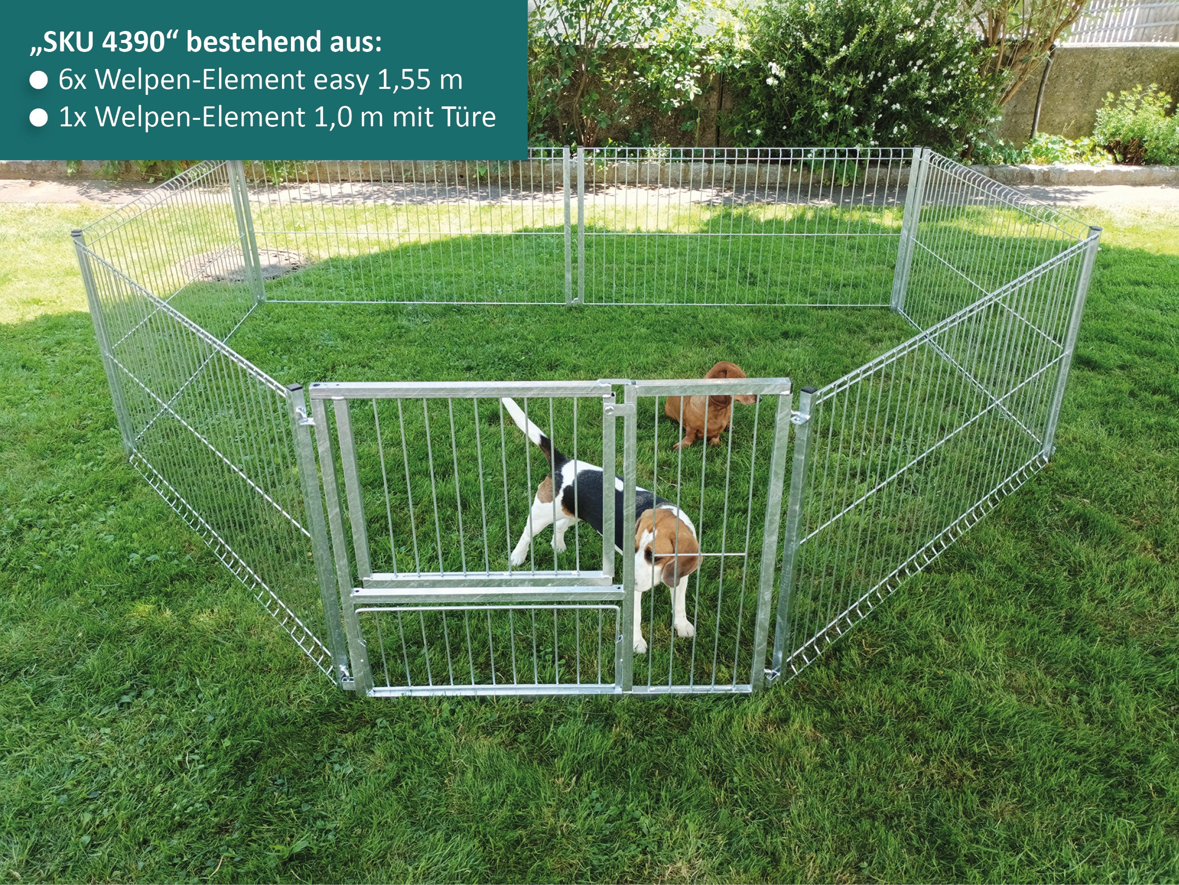 Welpenlaufstahl mit geöffneter Türe, aufgebaut im Garten mit Hunden
