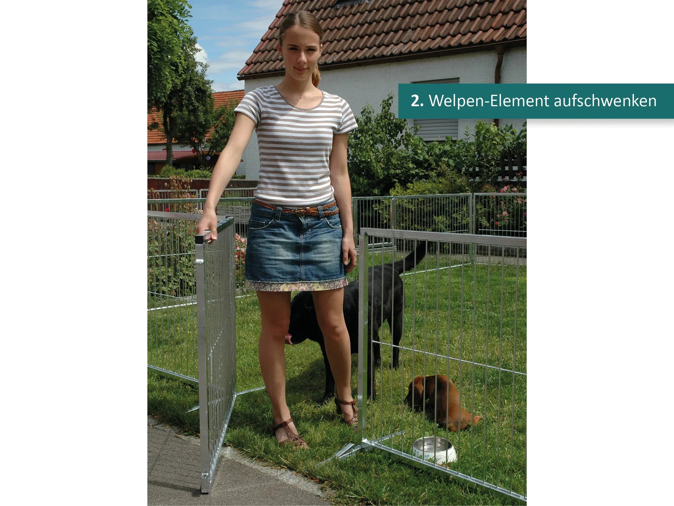 Welpenauslauf im Garten stehend mit offener Türe und zwei Hunden