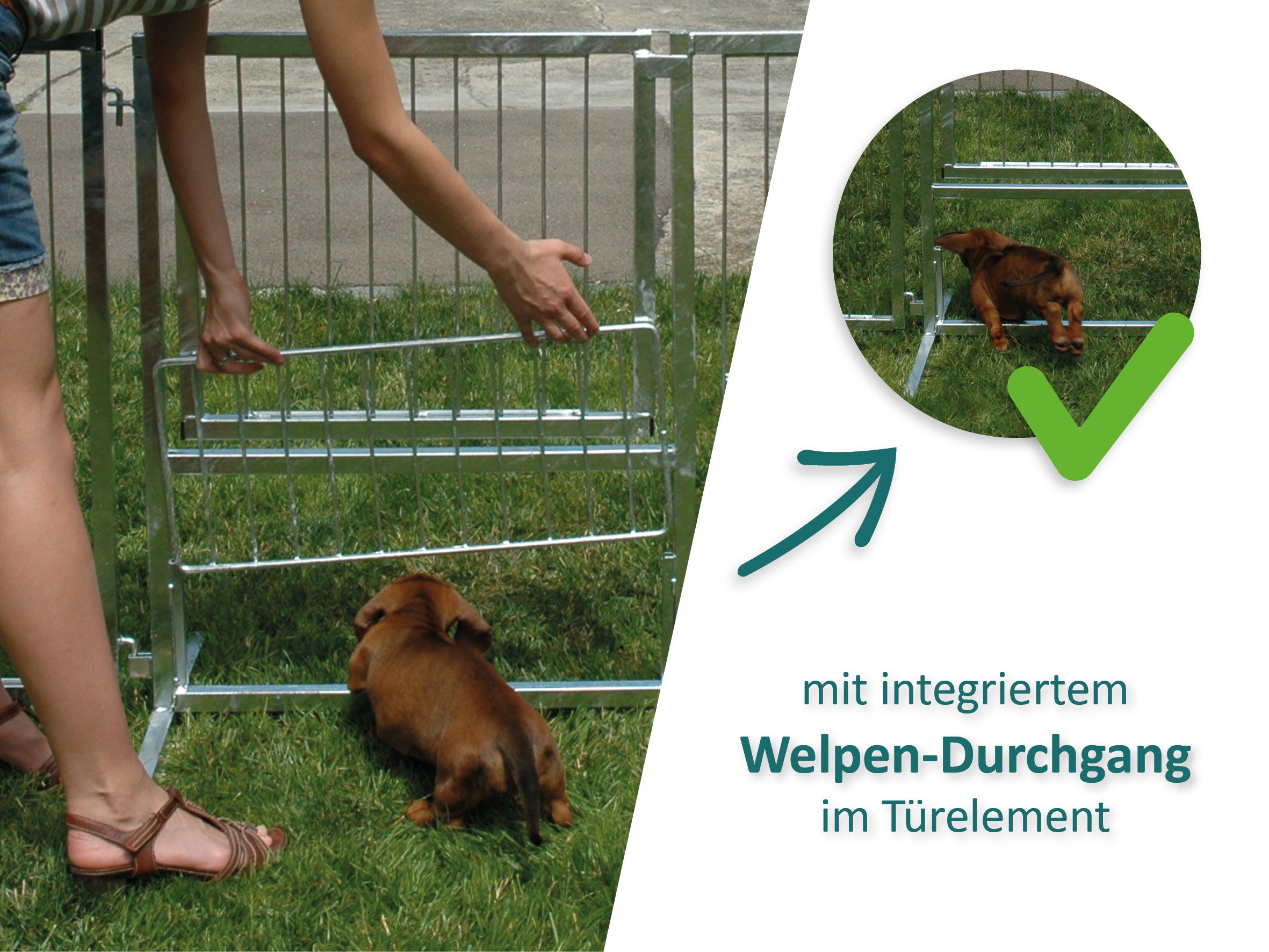 Welpen-Element mit geöffnetem Durchgang für Hundewelpen