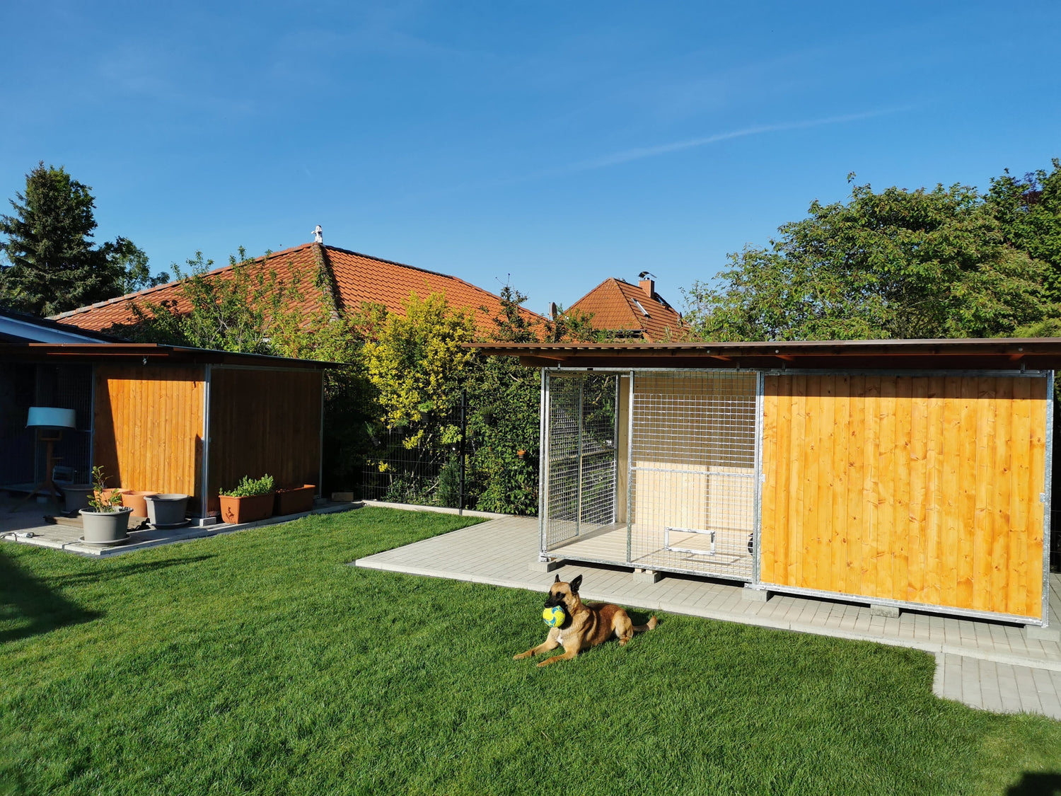 Ratgeber Hundezwinger