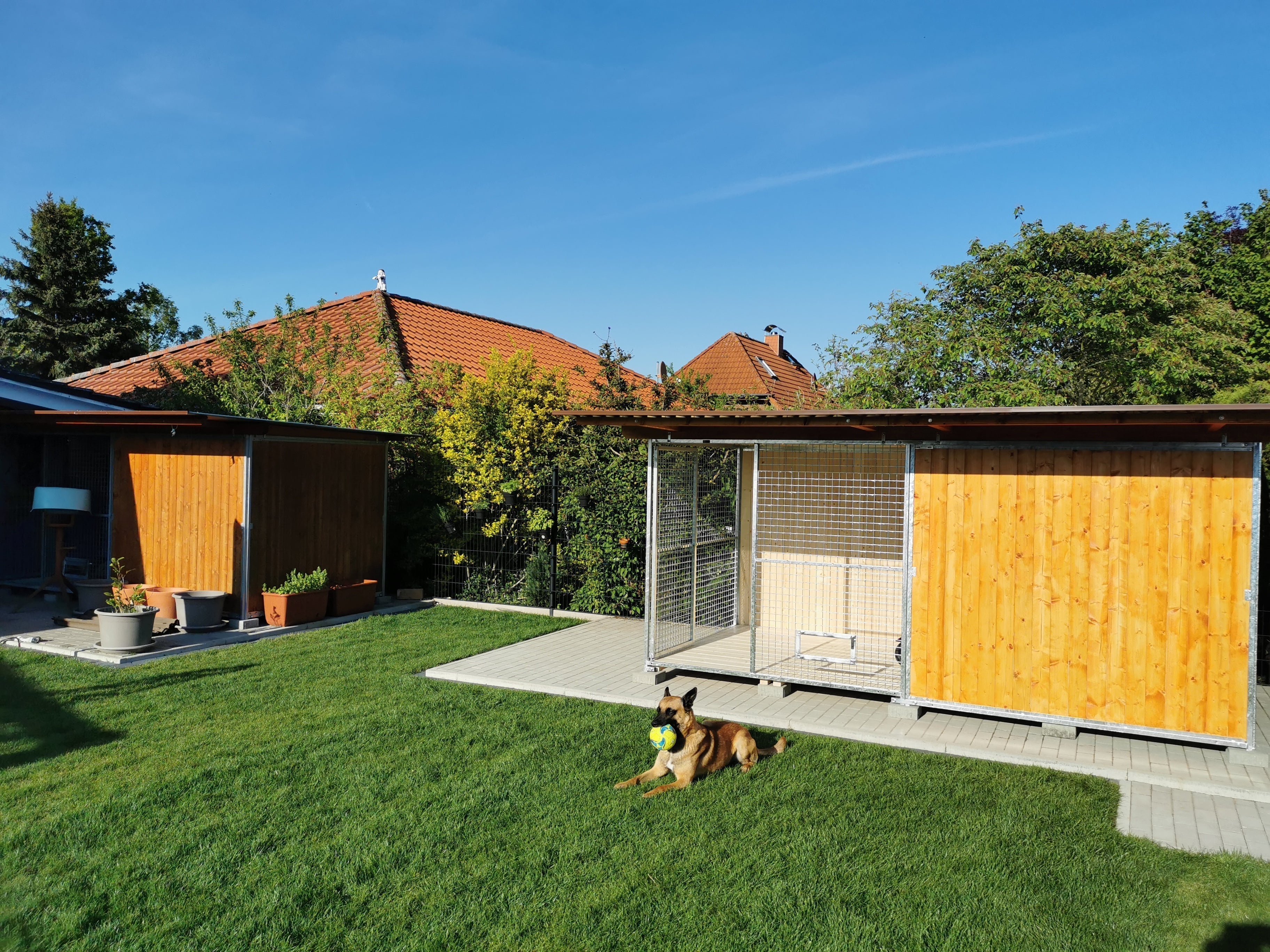 Ratgeber Hundezwinger