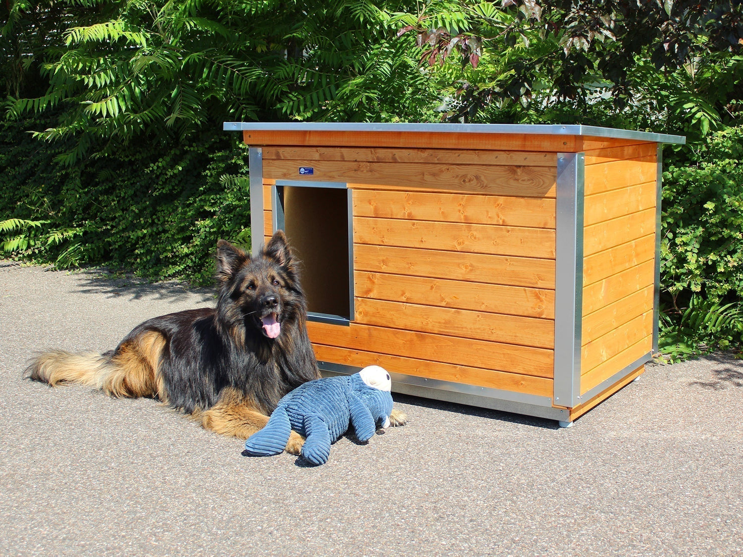 Ratgeber Hundehütten