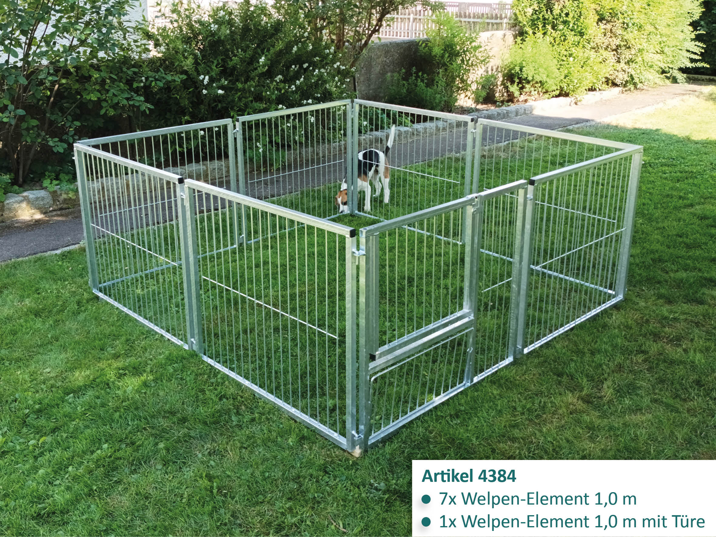 Welpen-Auslauf aufgebaut als Quadrat mit 82 cm hohen Elementen