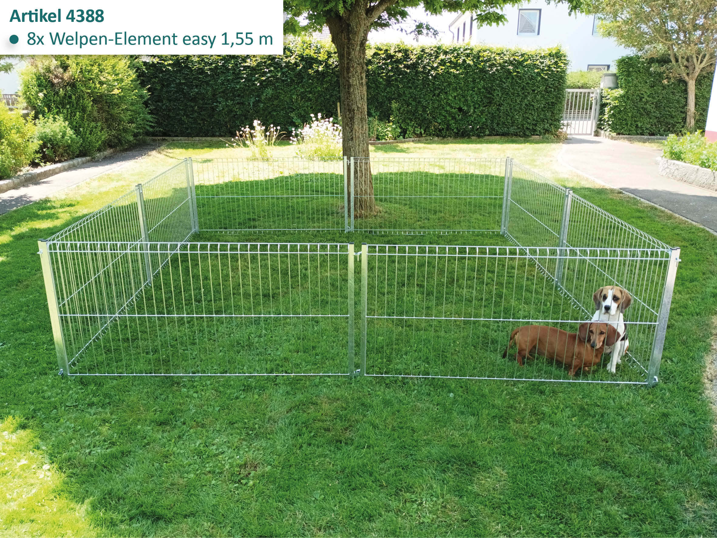 Großer Welpen-Laufstall mit zwei Hunden für den Außenbereich