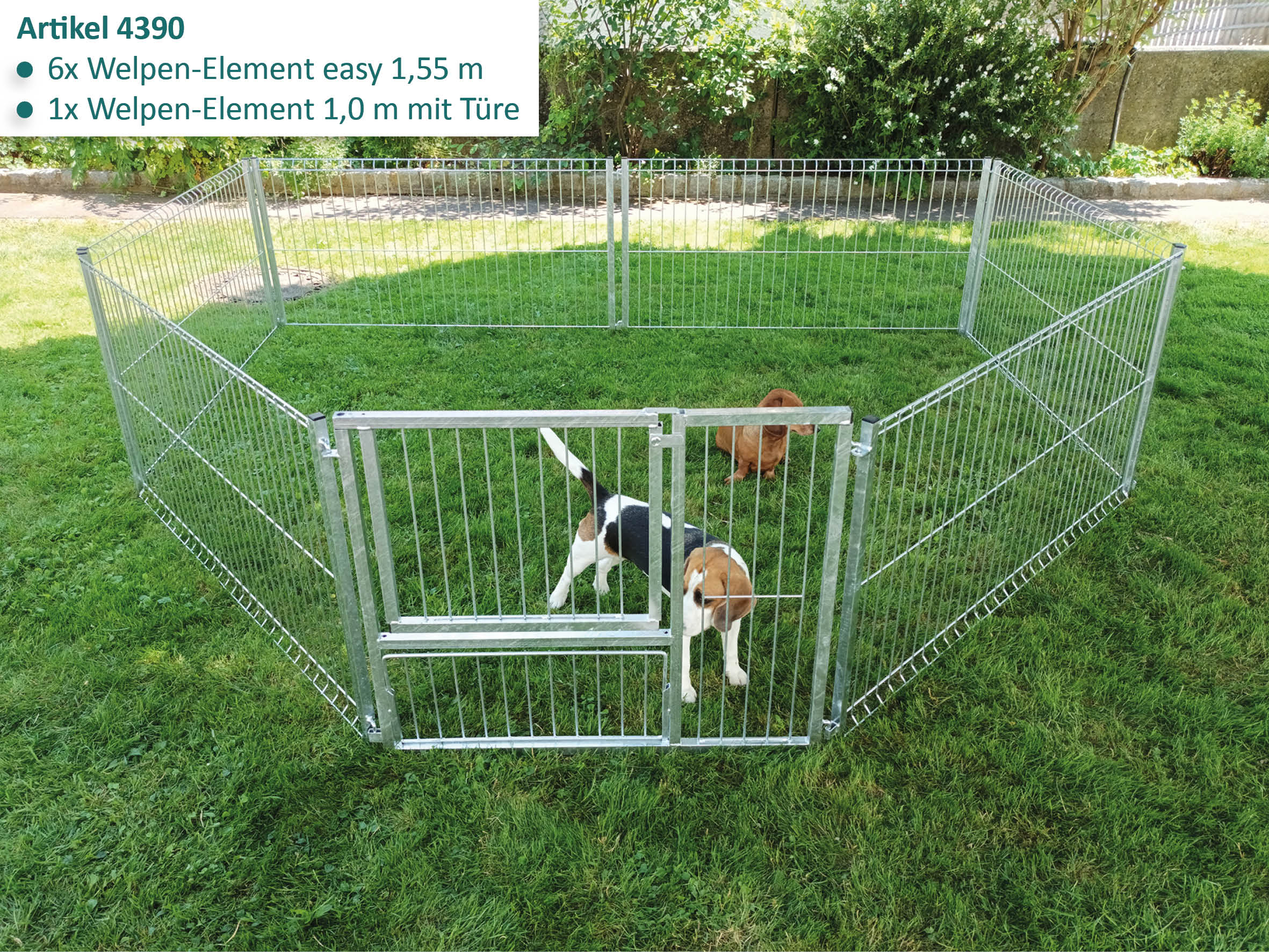 Welpenlaufstahl mit geöffneter Türe, aufgebaut im Garten mit Hunden
