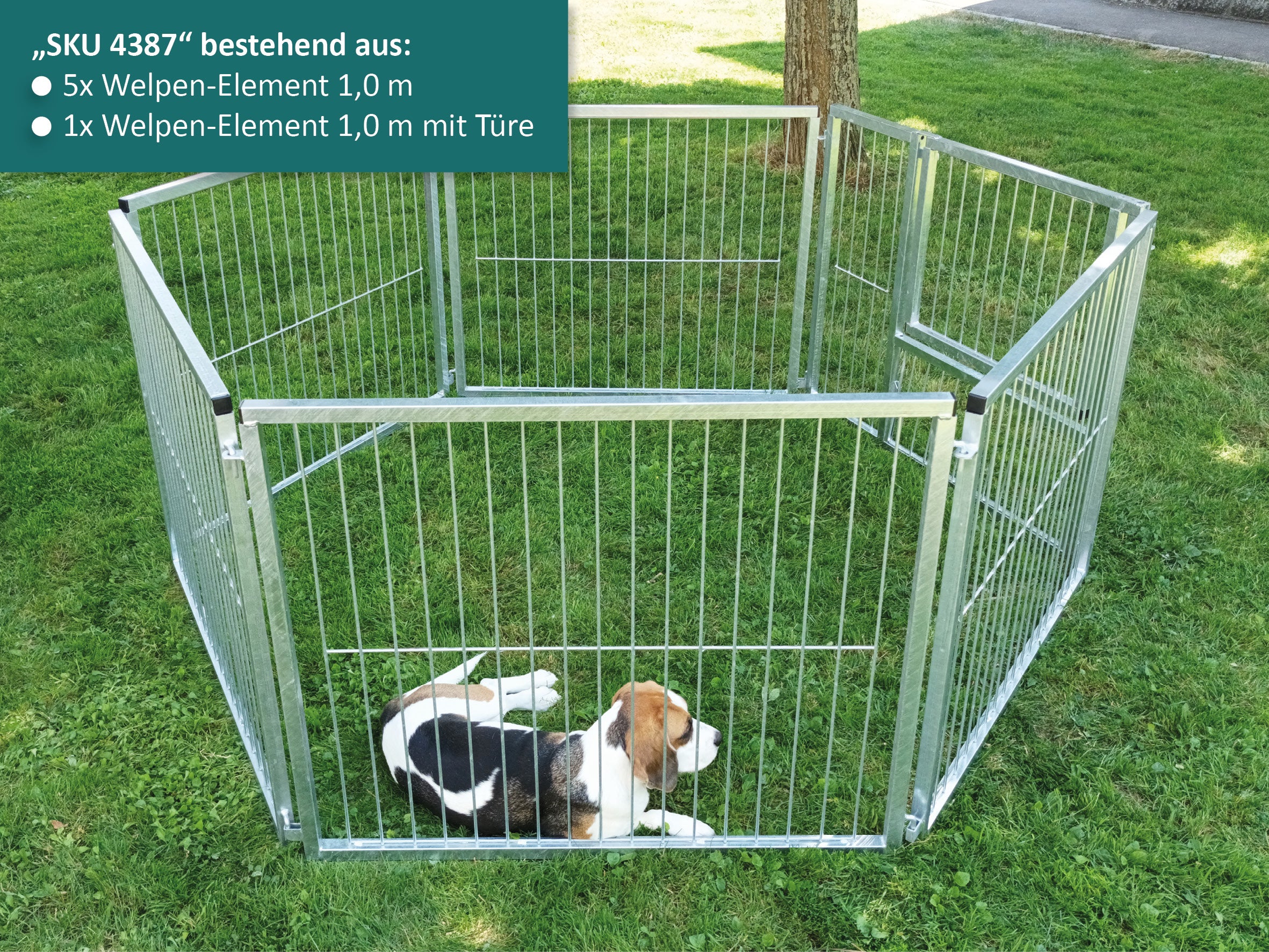 Korrosionsbeständiger Welpenauslauf aufgestellt im Garten