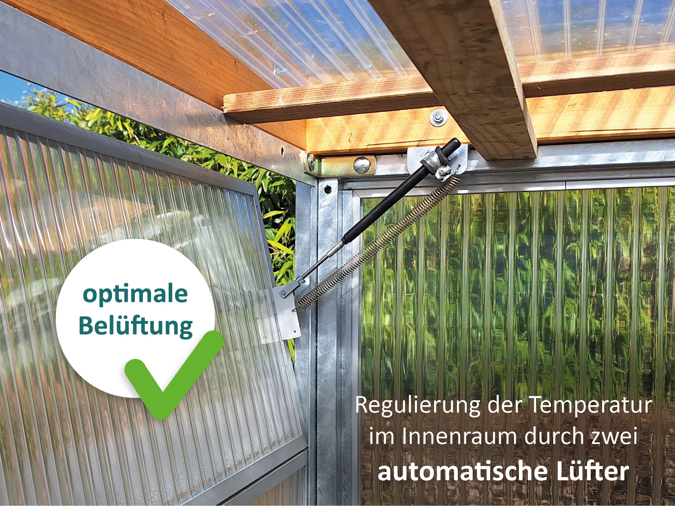 Innenraum Gewächshaus mit geöffnetem Lüfter